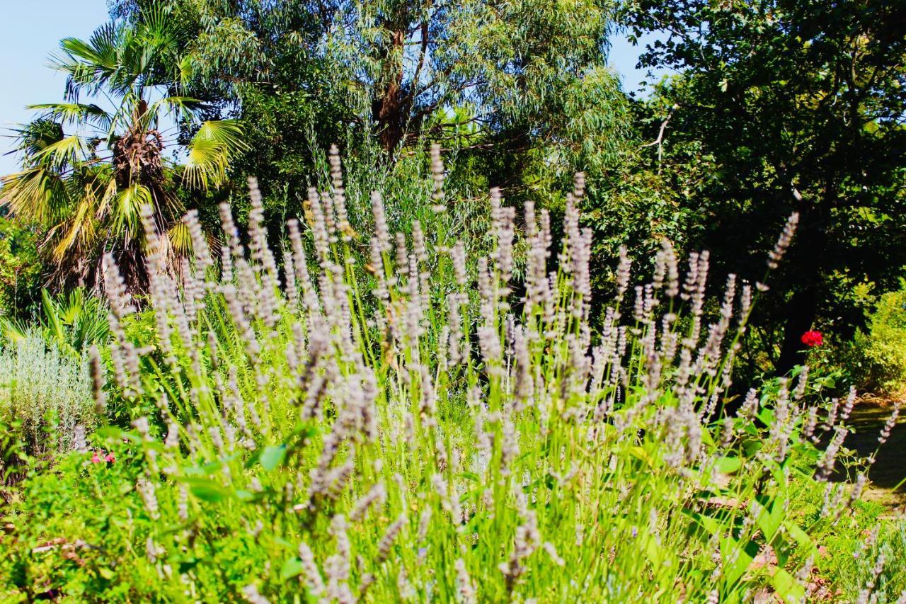 Nagoondie Studio Healesville Esterno foto